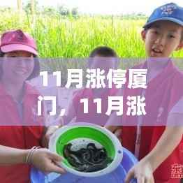 11月厦门涨停背后的学习之旅,自信与成就感的源泉