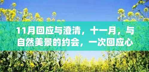 成功案例 第441页