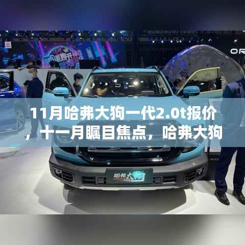 成功案例 第439页