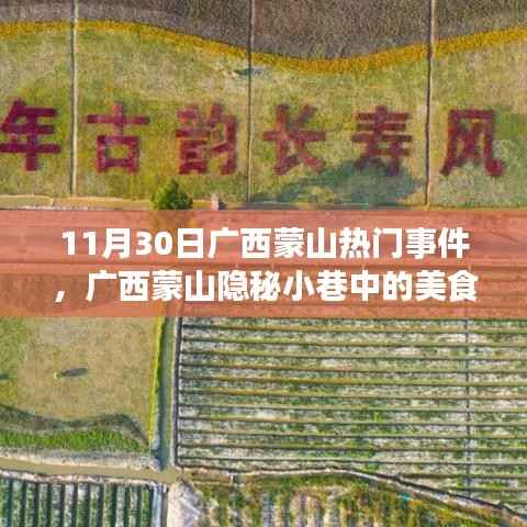 广西蒙山隐秘小巷的美食秘境,一家特色小店的探寻之旅