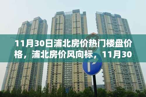 11月30日浦北热门楼盘房价探秘,最新风向标与价格走势