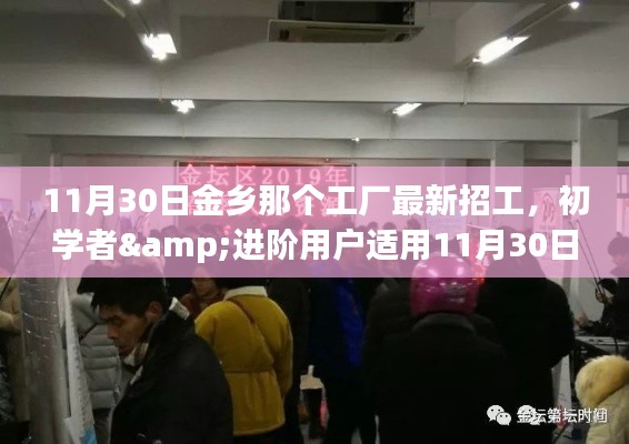 11月30日金乡工厂最新招工指南,初学者与进阶用户全流程应聘指南
