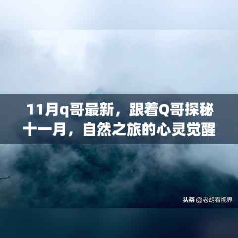11月q哥最新,跟着Q哥探秘十一月,自然之旅的心灵觉醒与轻松脚步