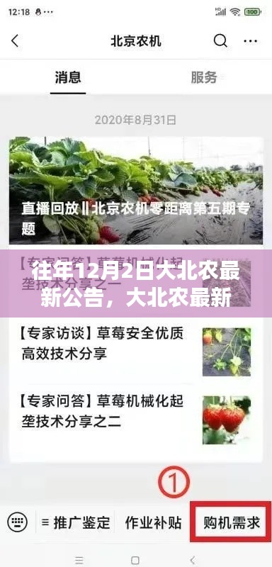 大北农最新公告解读与查阅指南,初学者与进阶用户适用步骤概览