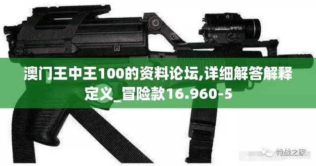 澳门王中王100的资料论坛,详细解答解释定义_冒险款16.960-5