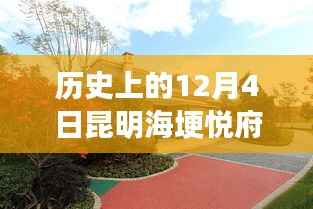 昆明海埂悦府发展全攻略,历史上的最新消息与深度了解