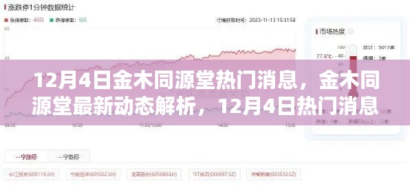 12月4日金木同源堂最新动态及热门消息解析