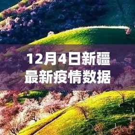 新疆地区最新疫情数据消息截至12月4日的聚焦解析报告