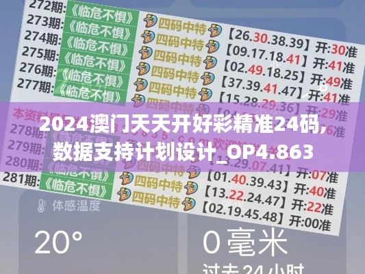 2024澳门天天开好彩精准24码,数据支持计划设计_OP4.863