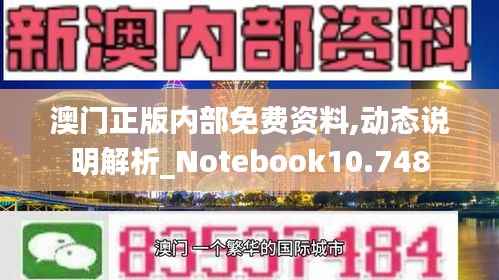 澳门正版内部免费资料,动态说明解析_Notebook10.748