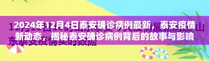 泰安疫情最新动态,揭秘确诊病例背后的故事与影响(截至2024年12月4日)
