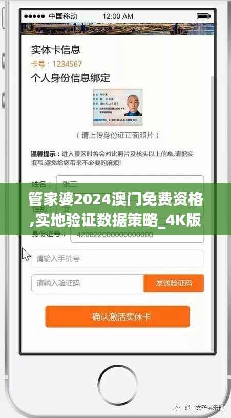 管家婆2024澳门免费资格,实地验证数据策略_4K版10.379