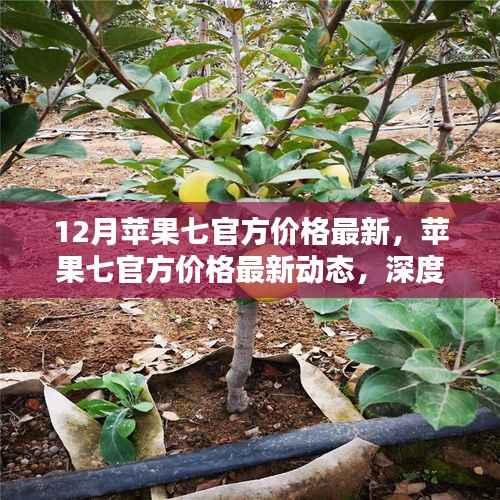 深度解析,苹果七官方价格最新动态与观点阐述