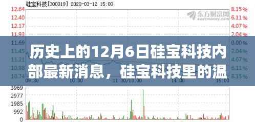 硅宝科技12月6日内部消息揭秘，温馨日常与特别故事