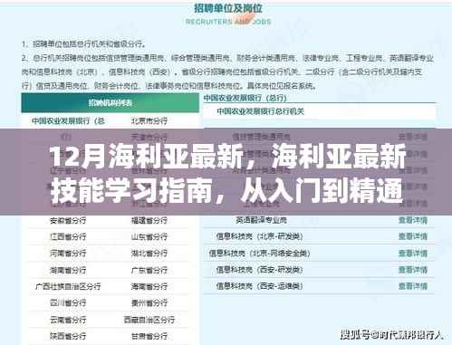 从入门到精通，海利亚最新技能学习指南全解析（12月最新版）