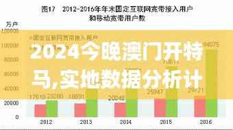 2024今晚澳门开特马,实地数据分析计划_基础版3.891