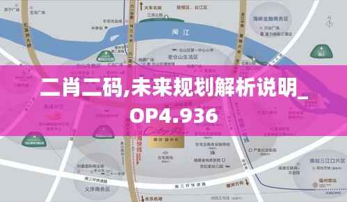 二肖二码,未来规划解析说明_OP4.936