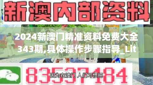 2024新澳门精准资料免费大全343期,具体操作步骤指导_Lite9.285