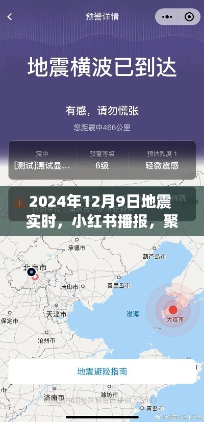 小红书播报,聚焦2024年12月9日地震实时动态