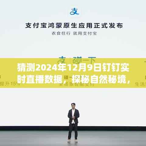 探秘自然秘境,启程2024年12月9日钉钉直播之旅