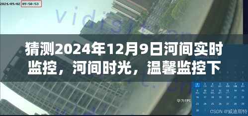 河间时光，温馨监控下的奇妙日常，2024年12月9日的河间奇遇