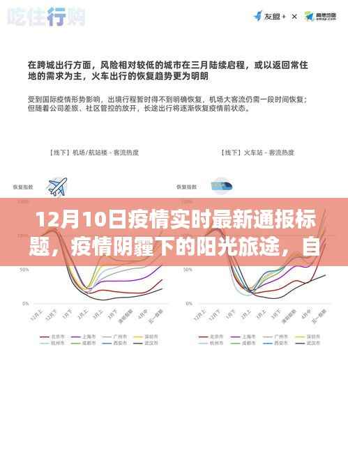 疫情阴霾下的阳光旅途,自然美景呼唤内心的平静与探索的最新通报(实时更新至12月10日)