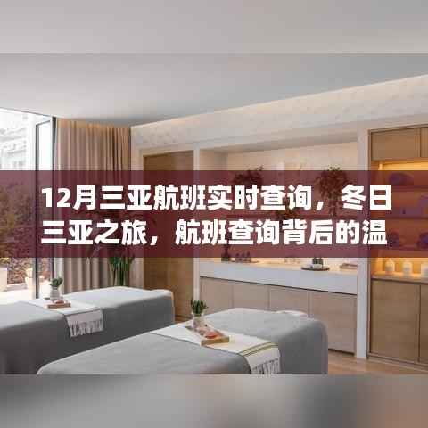航班背后的温情故事,三亚航班实时查询与冬日之旅