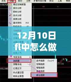 揭秘，如何在FL中进行高效的实时拉伸操作（12月10日指南）