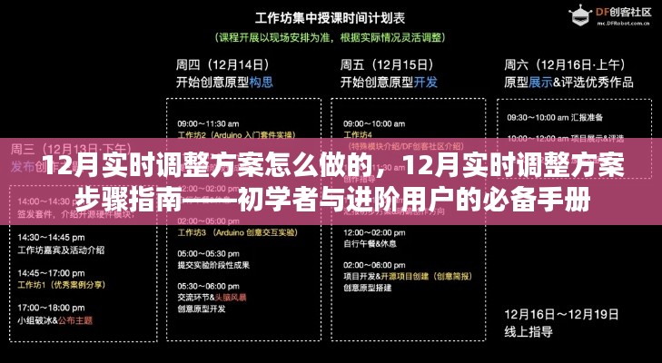 12月实时调整方案步骤详解，初学者与进阶用户的必备指南
