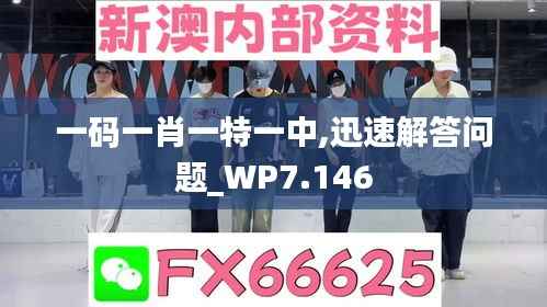 一码一肖一特一中,迅速解答问题_WP7.146
