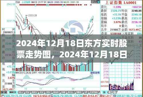 2024年12月18日东方股票走势深度解析，风云变幻的股市图谱