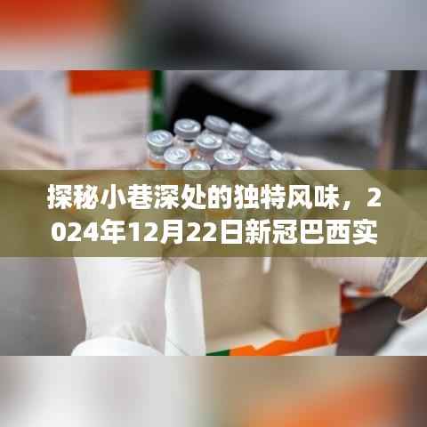 探秘小巷深处的独特风味,隐秘美食之旅在巴西新冠疫情下的独特体验