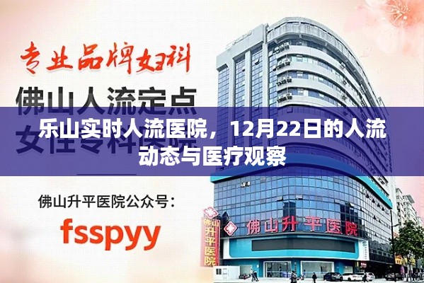 乐山实时人流动态观察,12月22日的人流数据与医疗观察报告