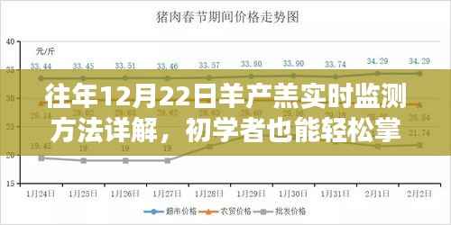 羊产羔实时监测详解,轻松掌握的技能,助力初学者应对冬季产羔高峰