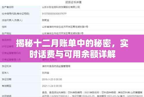 揭秘十二月账单中的秘密，实时话费与可用余额详解解析