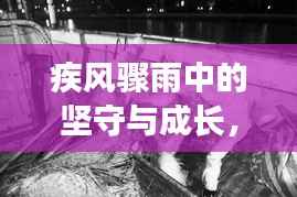 疾风骤雨中的坚守与成长，特警安保背后的故事与启示录