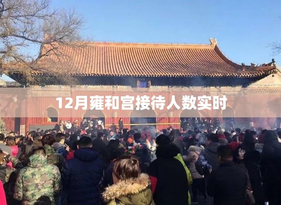 成功案例 第237页