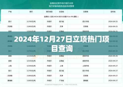 2024年热门项目立项查询启动