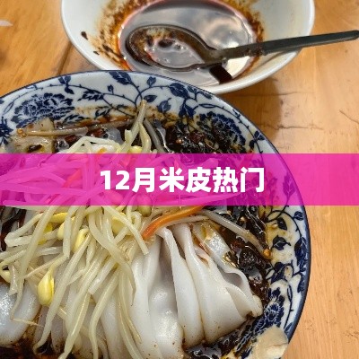 米皮热潮席卷十二月!