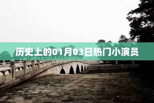 历史上的大事件,一月三日诞生的明星小演员之路