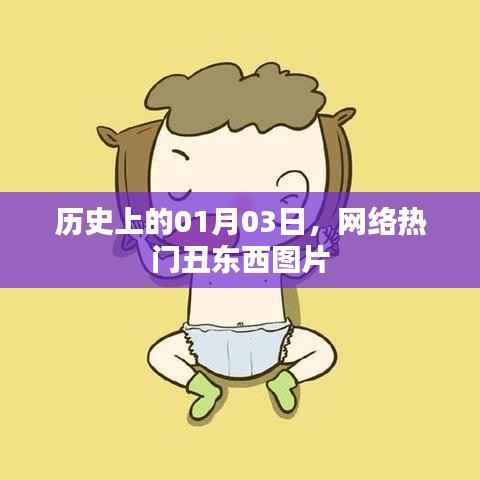 网络热门丑东西图片的历史时刻,一月三日回顾