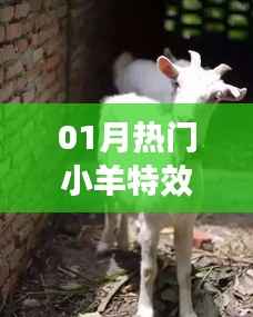 热门小羊特效，引领潮流新风尚！