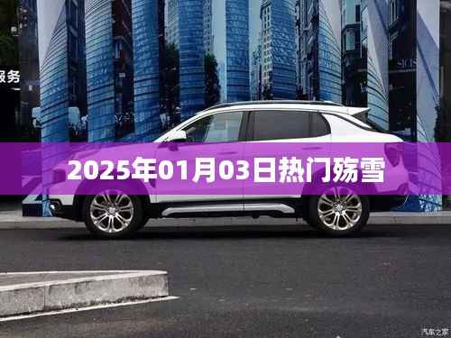 最新热门,殇雪事件回顾与影响分析