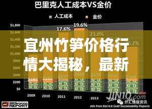 宜州竹笋价格行情大揭秘，最新报价与走势分析！