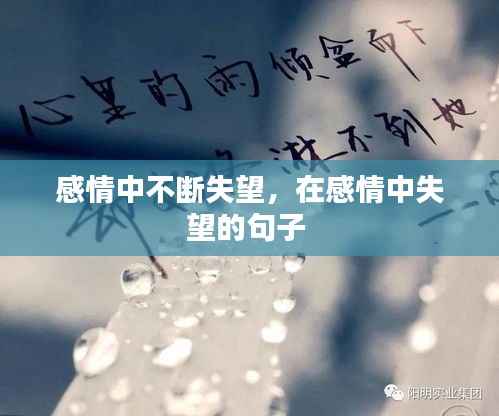 感情中不断失望,在感情中失望的句子