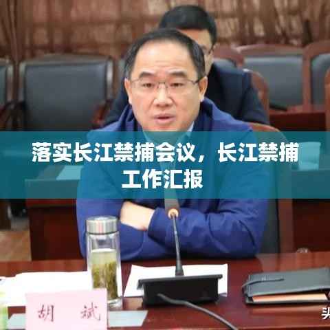 落实长江禁捕会议,长江禁捕工作汇报