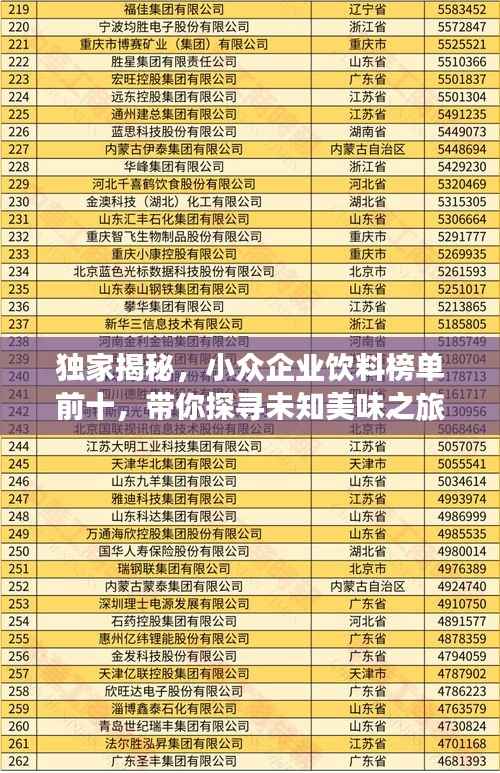 独家揭秘,小众企业饮料榜单前十,带你探寻未知美味之旅