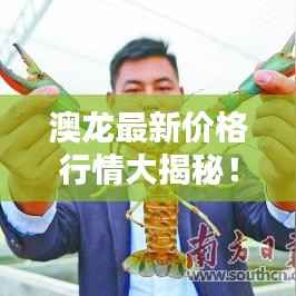 澳龙最新价格行情大揭秘!