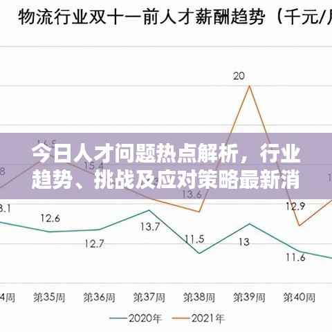 今日人才问题热点解析,行业趋势、挑战及应对策略最新消息