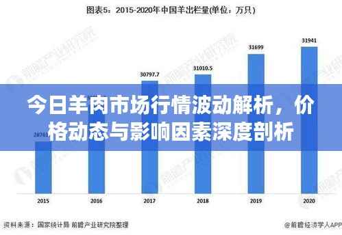今日羊肉市场行情波动解析,价格动态与影响因素深度剖析